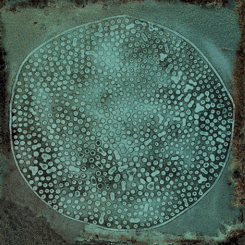 Carlo Jade-B 20x20 VIVES