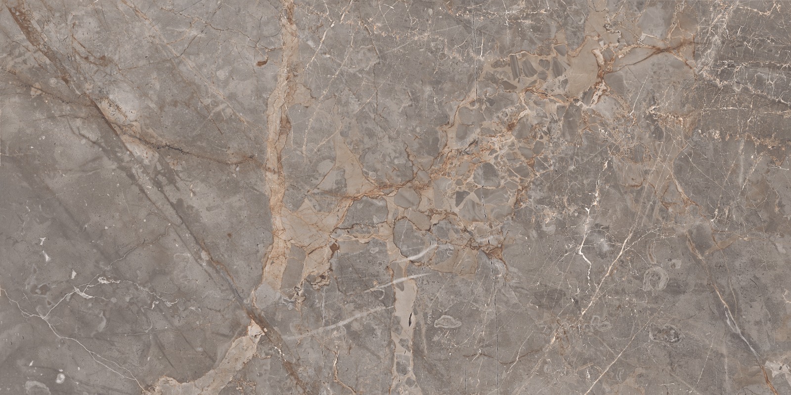 Miltonia Grey 60x120 Realistik