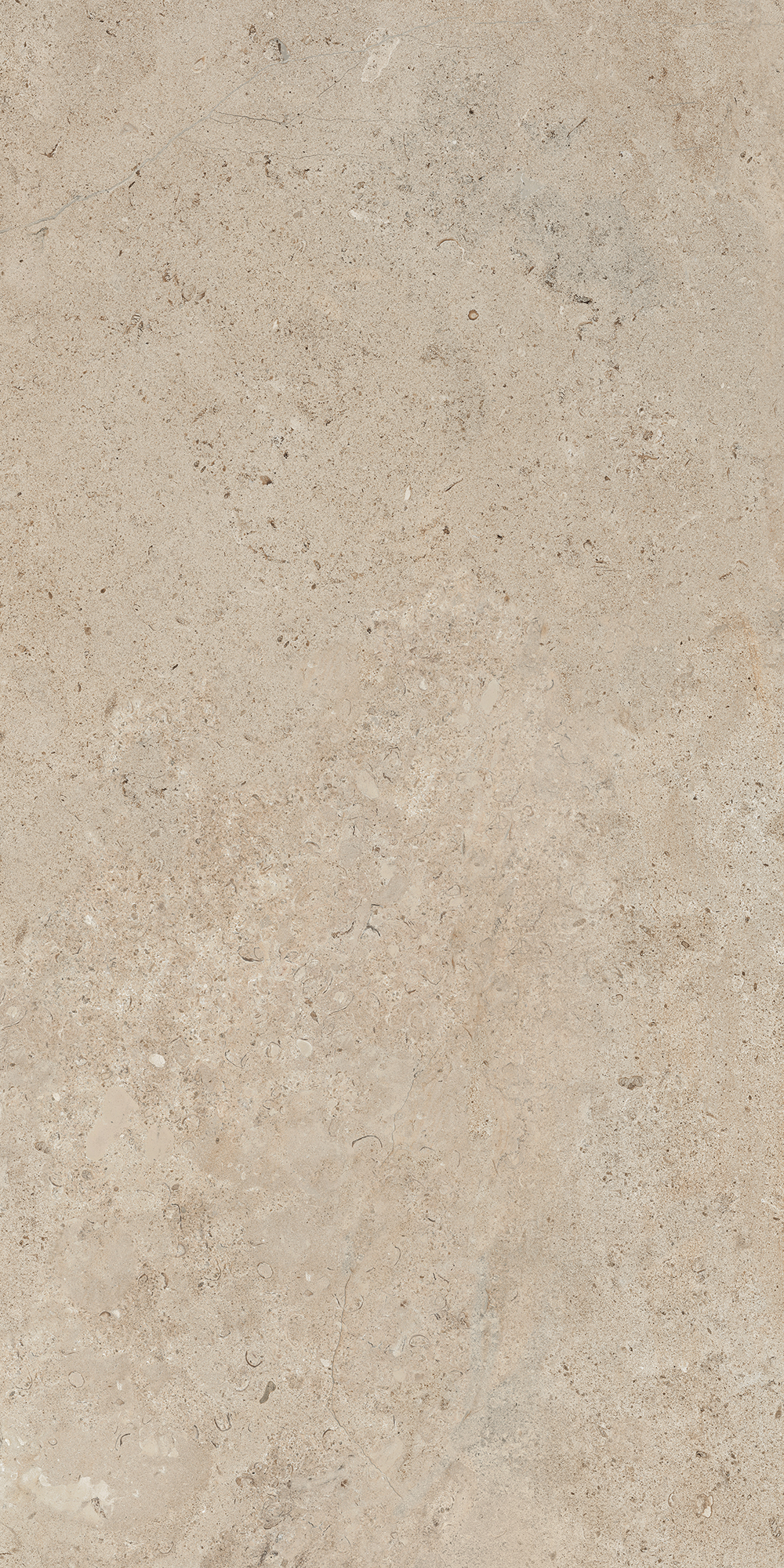 B71605 Lithoteke Limestone Nat RT 60x120 Bottega