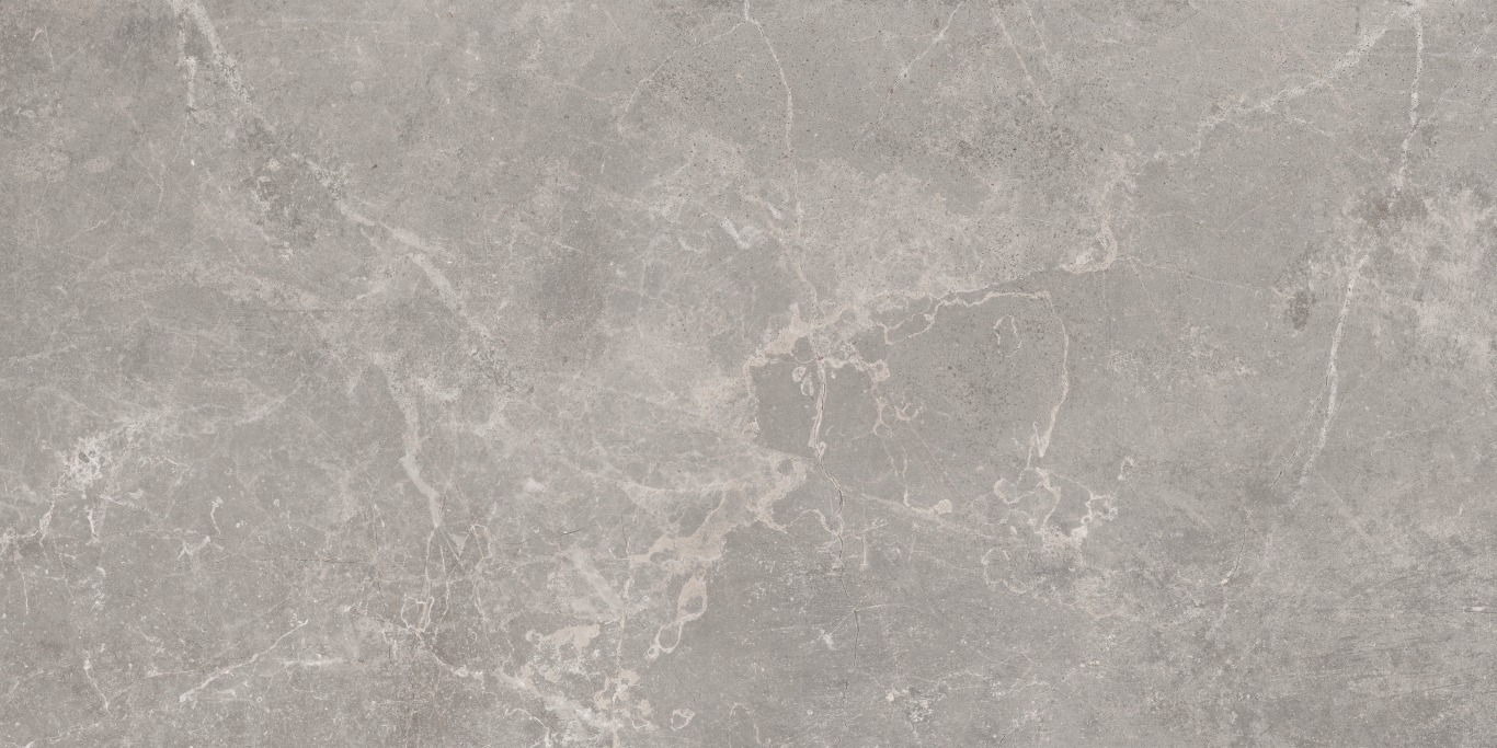 Concept Gray 60x120 Baldocer