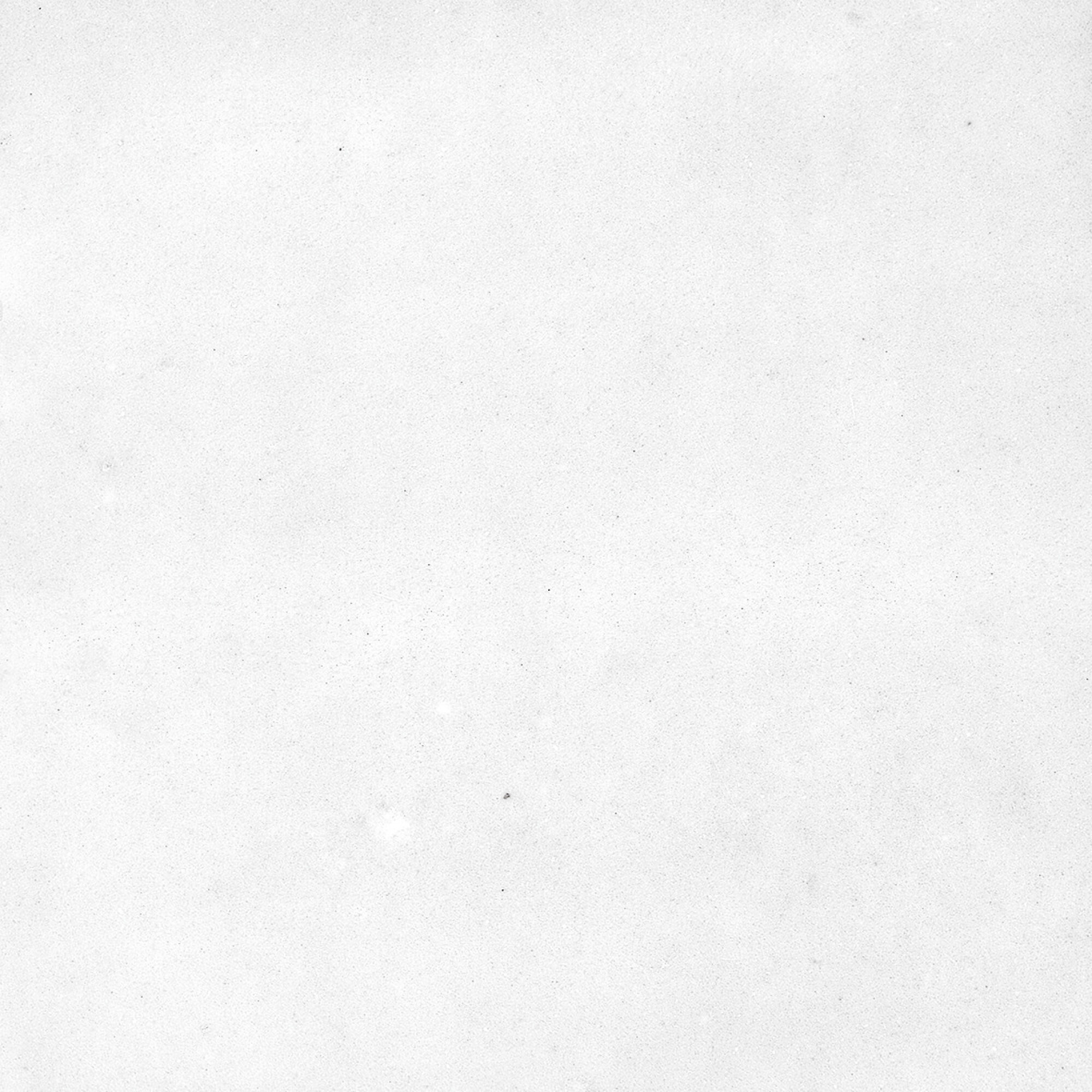43294 Samira White 10x10 Harmony фото 32