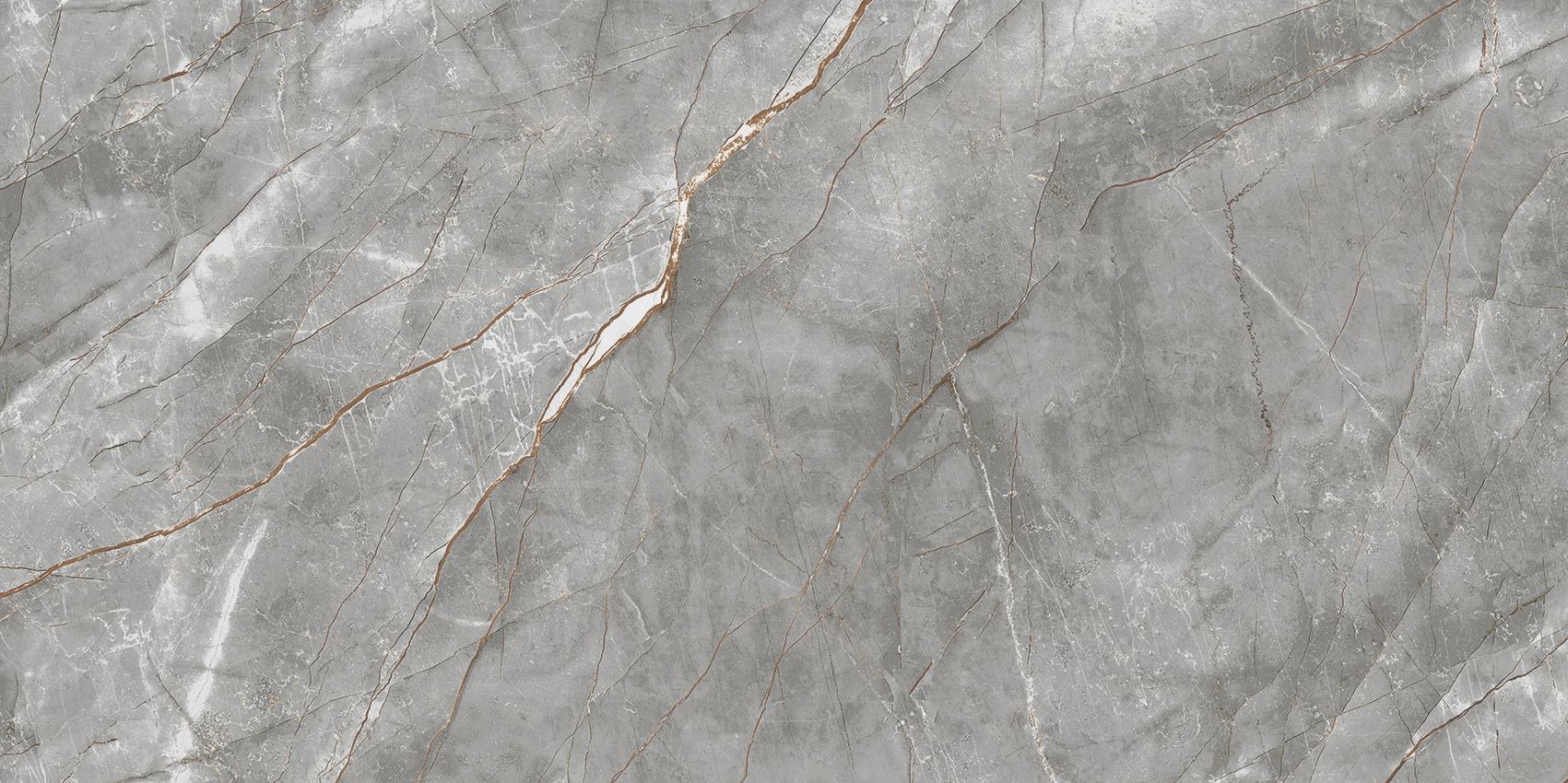 PR237 Vezin Grey Polished 60x120 PrimaVera