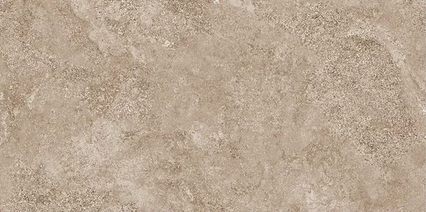 Mystical Charm Camel Relief Matt 60x120 Staro