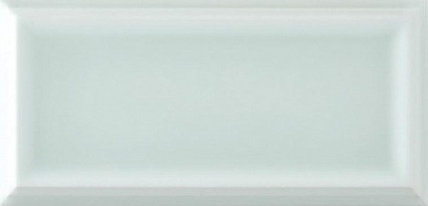 ADST1068 LISO FRAMED FERN 7.3x14.8 Adex