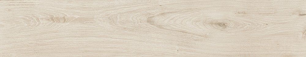 189003 Quercus Betulla 22x120 Dune