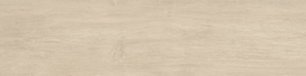 ELXR3012A ASRM 30x120 Imola Ceramica