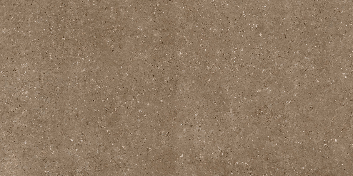 G214 Arkaim Brown MR 60x120 Гранитея