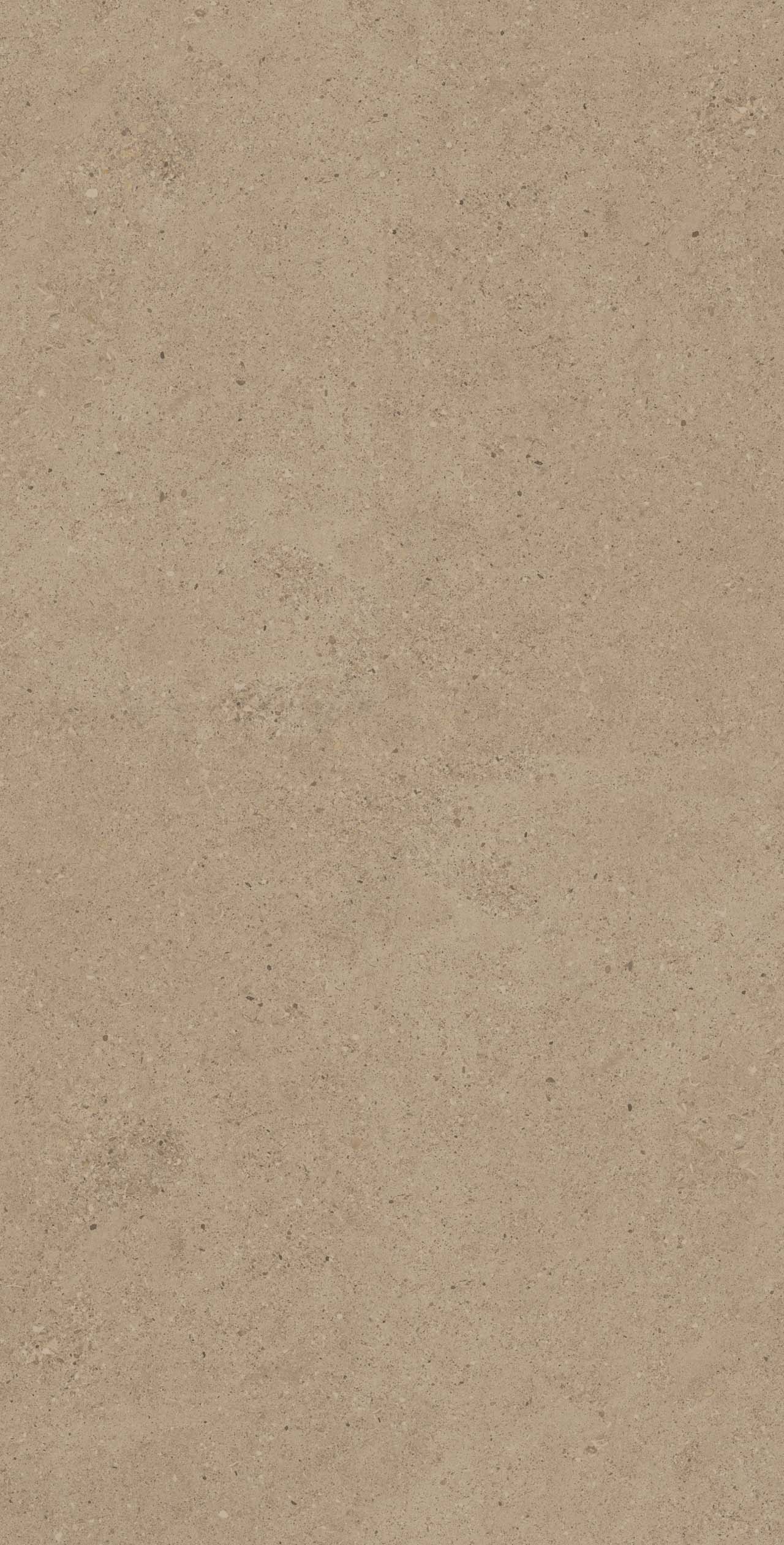 CE01 Спенс Темно-бежевый Структурированный Рект 60x120x9 Estima фото 3