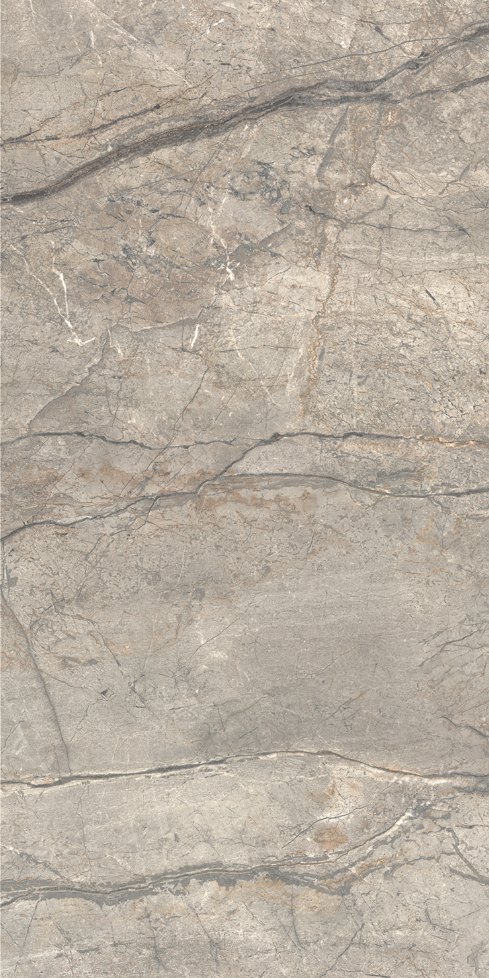 AIAV Amazing Silver Liscio Matt 60x120 Caesar фото 4