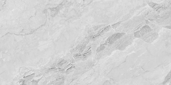 230101 Light Grey Polished 60x120 Concor