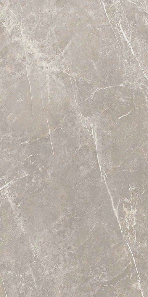 766528 Elemental Grey Dolomia Luc Ret 60x120 Cerim
