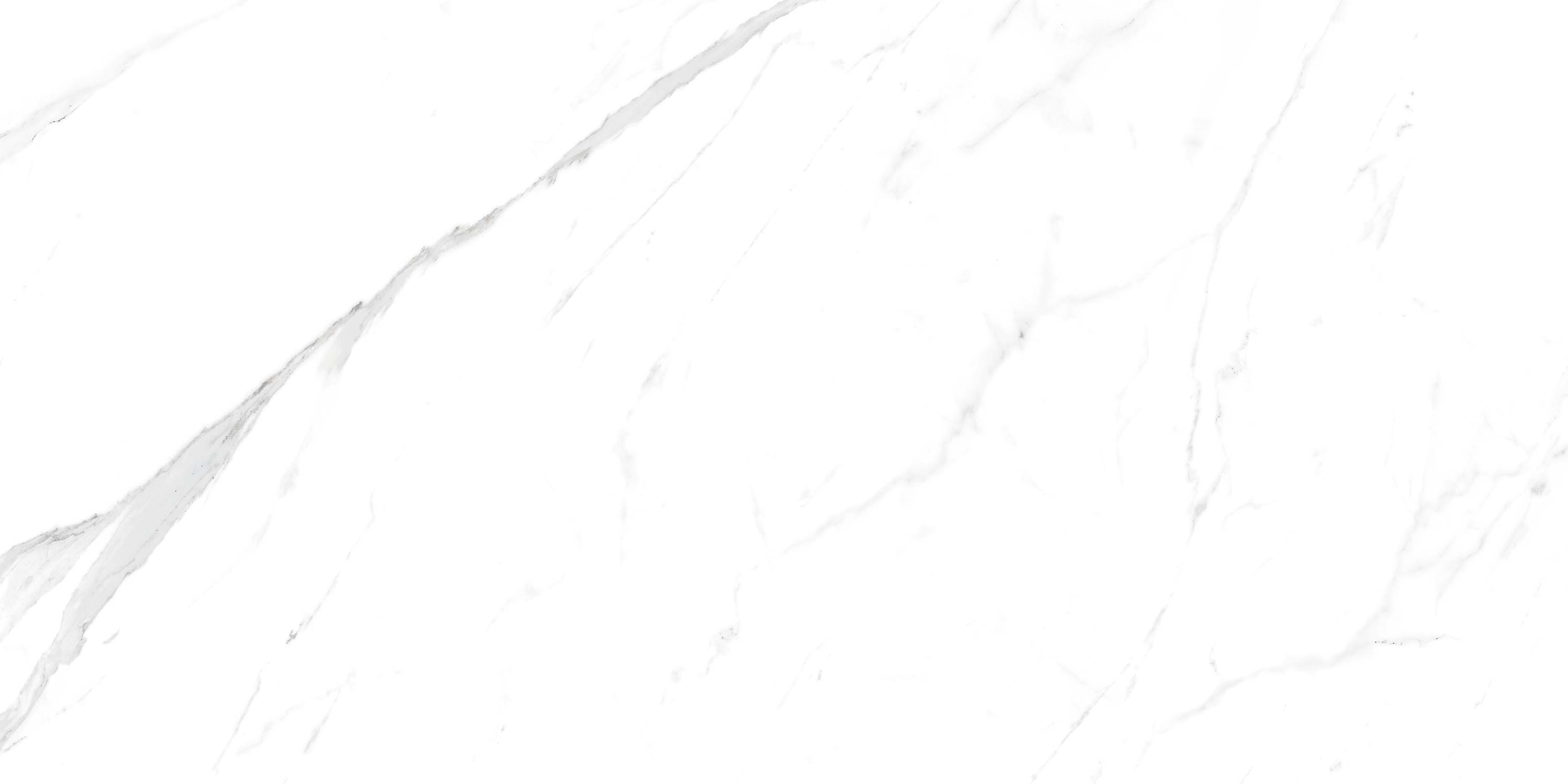 Statuario White 60х120 ZERDE TILE фото 2