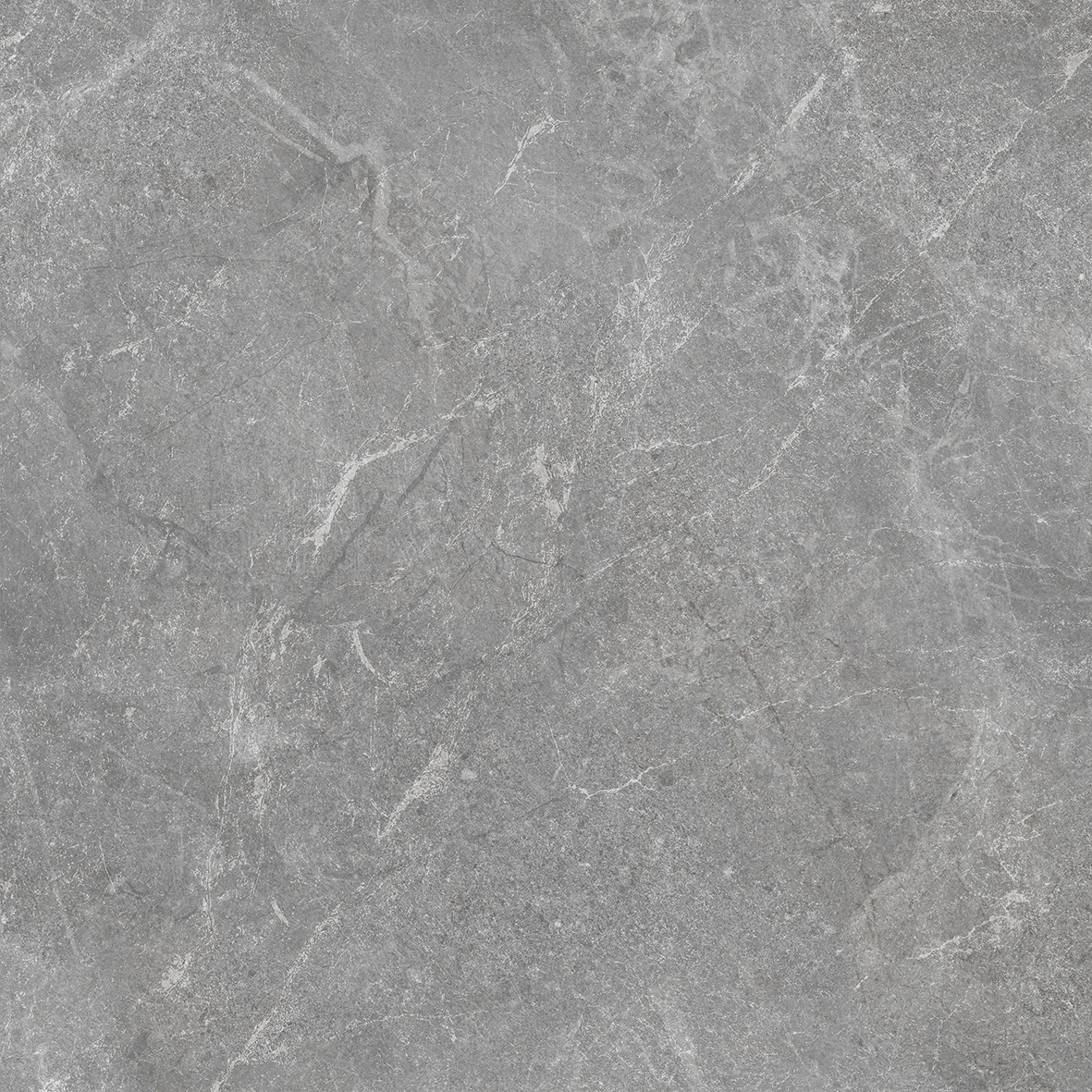 Rocky Grey PRO серый матовый R10GR STR 80х80 Laparet