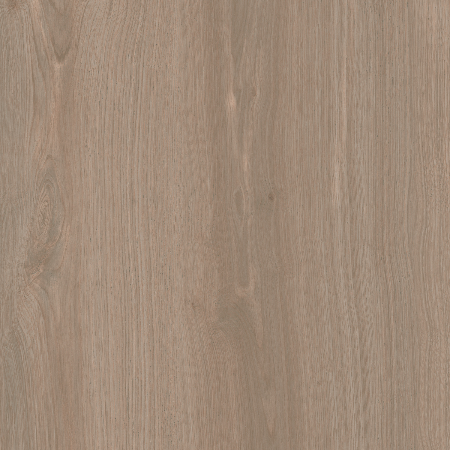 SG643820R Альберони коричневый светлый матовый обрезной 60x60x0,9 Kerama Marazzi