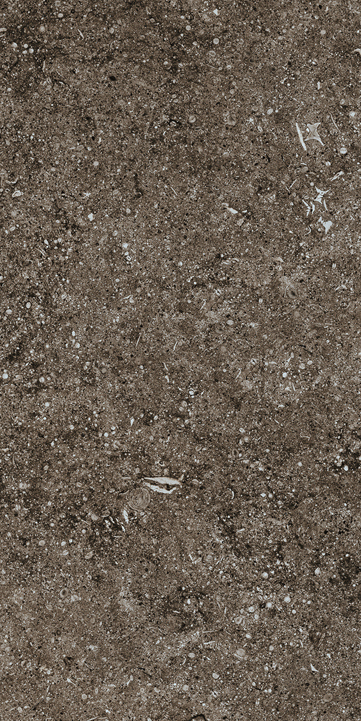 768353 Sensi Brown Fossil Ret 40x80 Casa Dolce Casa