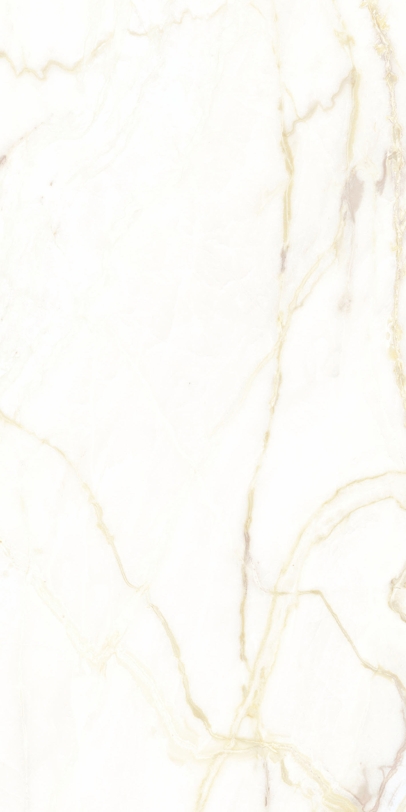 769471 Chimera Empatia Bianco Mat Ret 6mm 60x120 Cedit