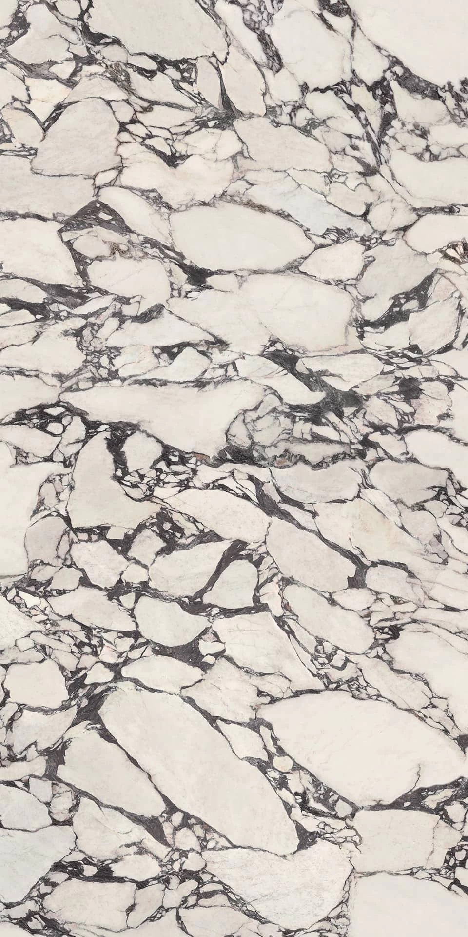 HCLZ Calacatta Viola Polished 6mm 160x320 Atlas Concorde фото 2