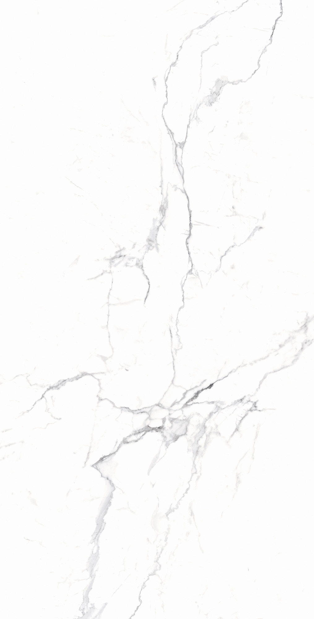 RT7018-A Carrara White Matt Rustic 60x120 Arcadia Ceramica