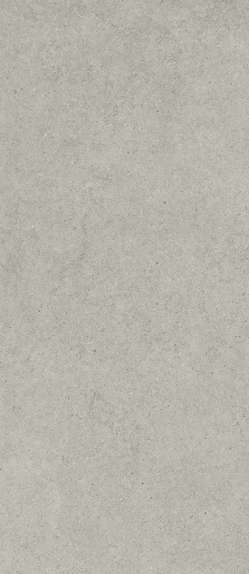 600180000082 Forum Stone Silver 120x278 Italon