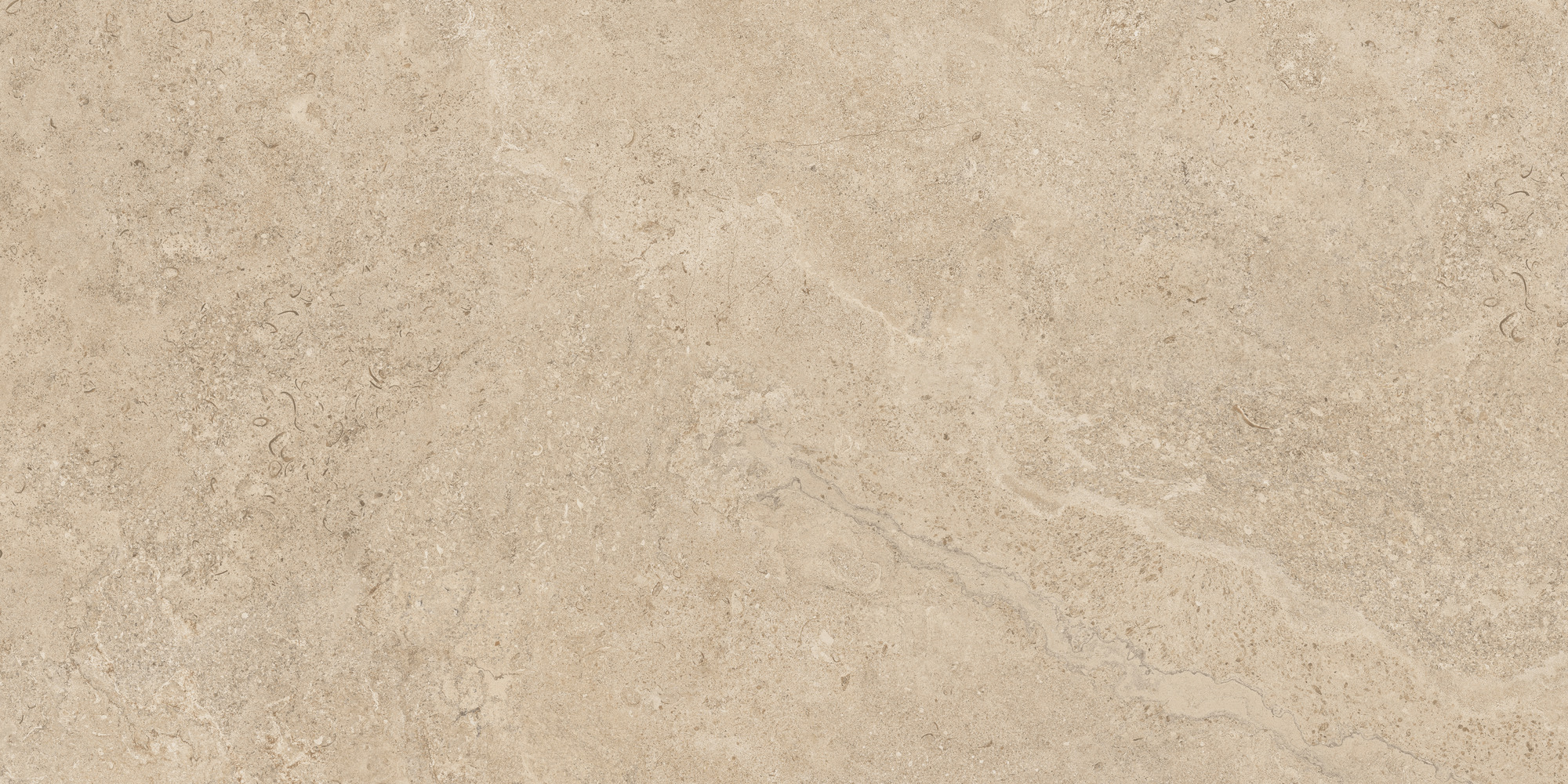 Dorset Sand Rec. 60x120 TAU Ceramica фото 4