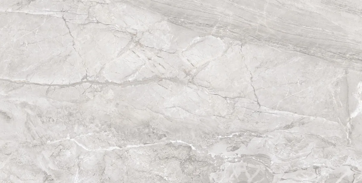 CR9021-A Doxa Silver Grey CR 60x120 Arcadia Ceramica