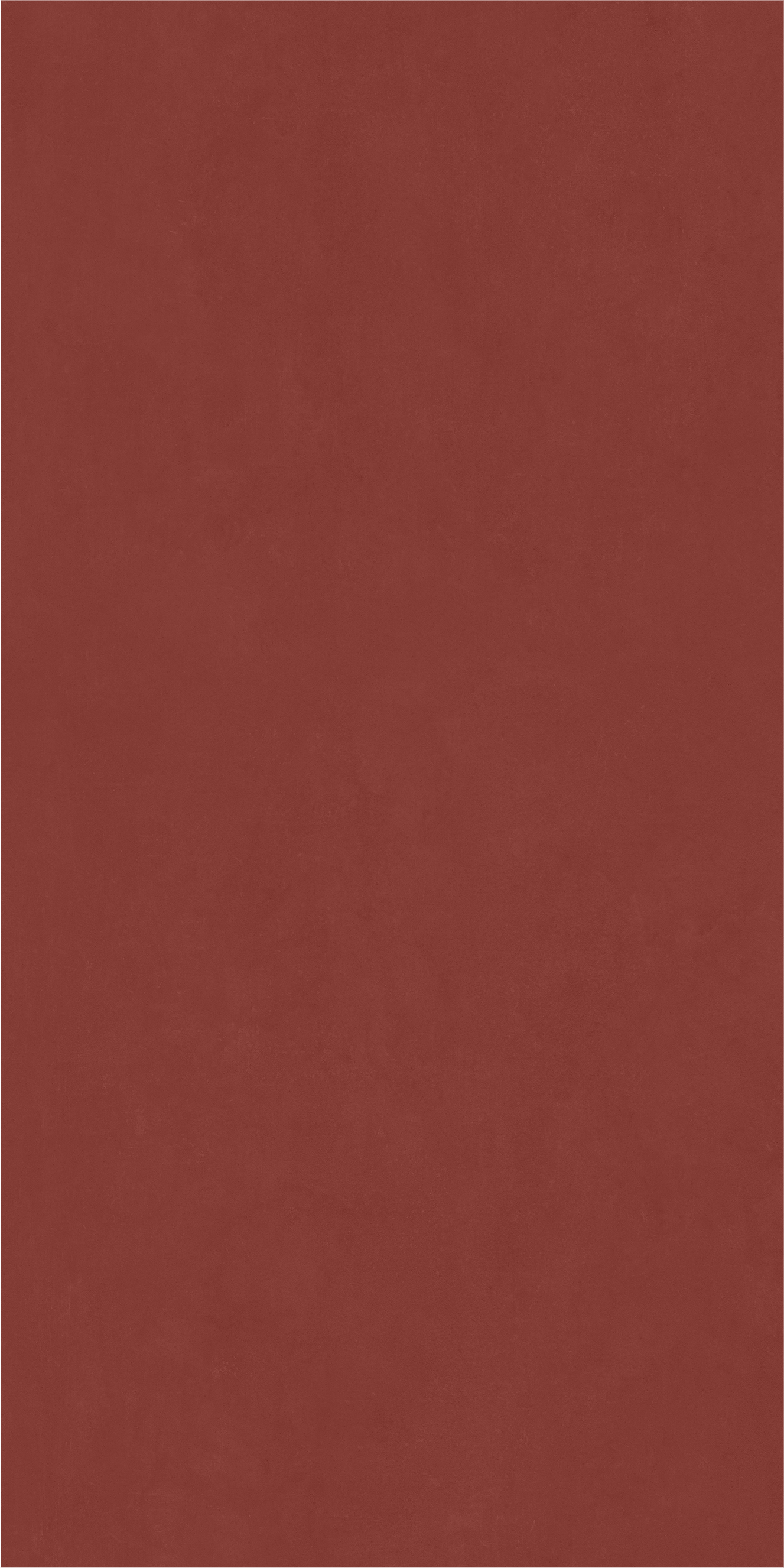 600010002374 Серфейс Эксклюзив Рэд Нат Рет 80x160 Italon