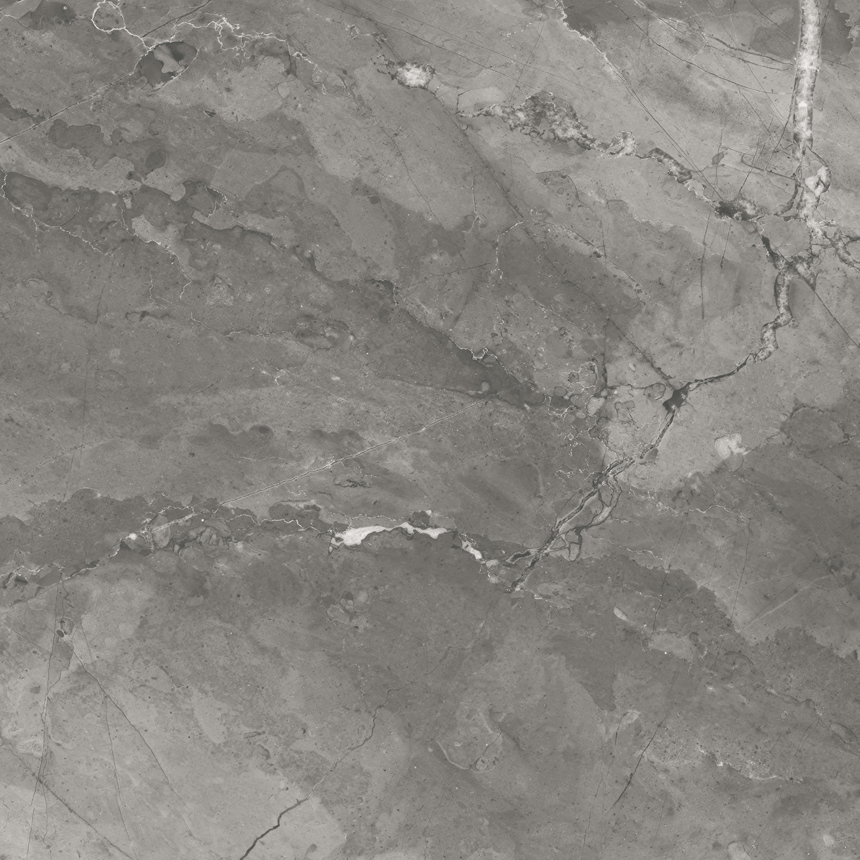 CR6020-A Bismanto Grey Carving 60x60 Arcadia Ceramica фото 3