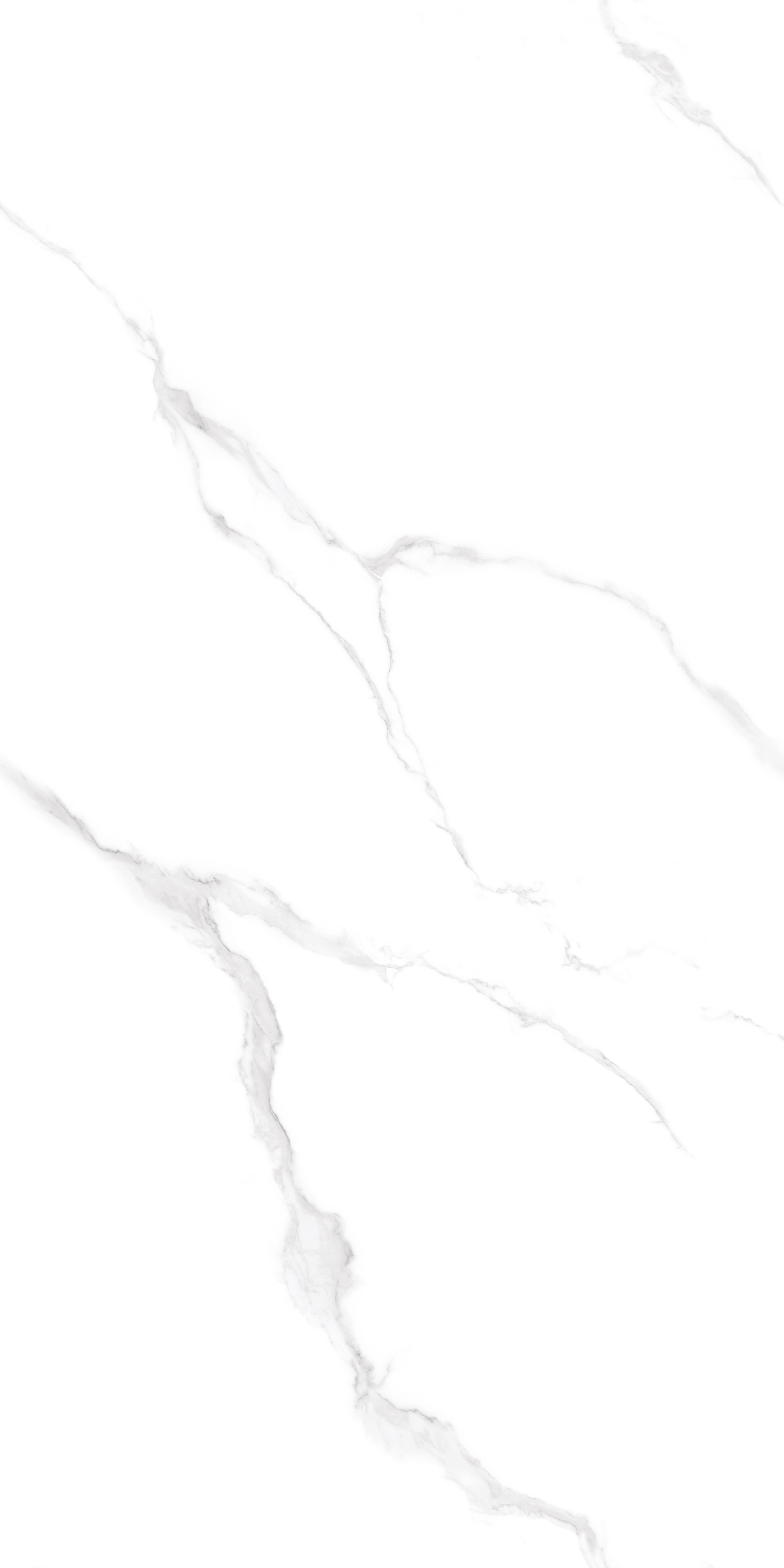 PT12J906 Snow Marble Carving 1200х600х9 Protiles