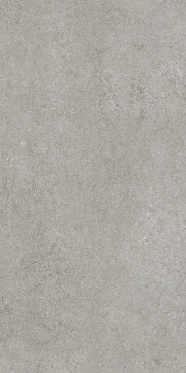 768317 Sensi Grey Fossil R+PTV Ret 60x120 Casa Dolce Casa
