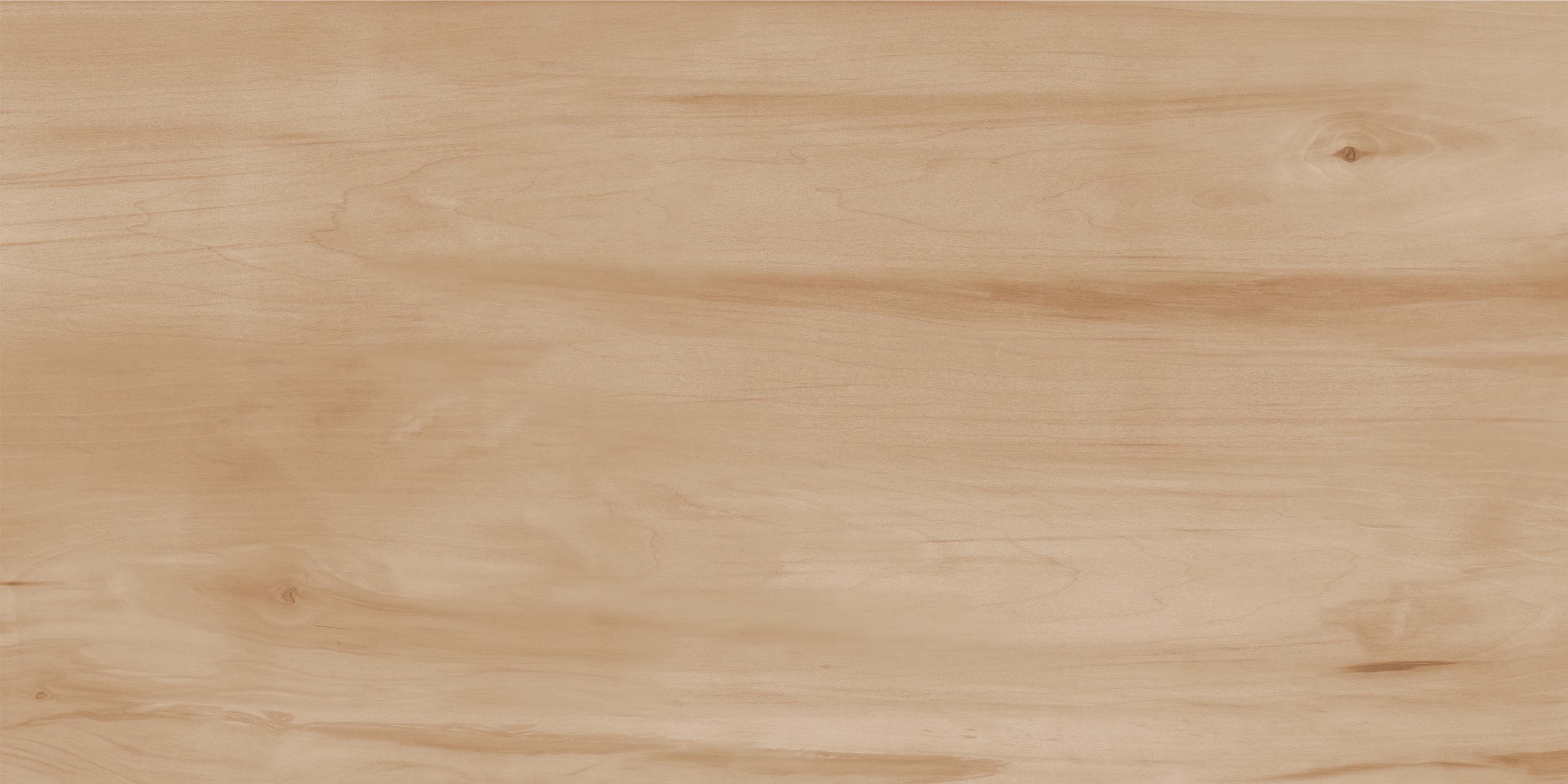 Paint Wood Bone Gloss 60x120 Realistik