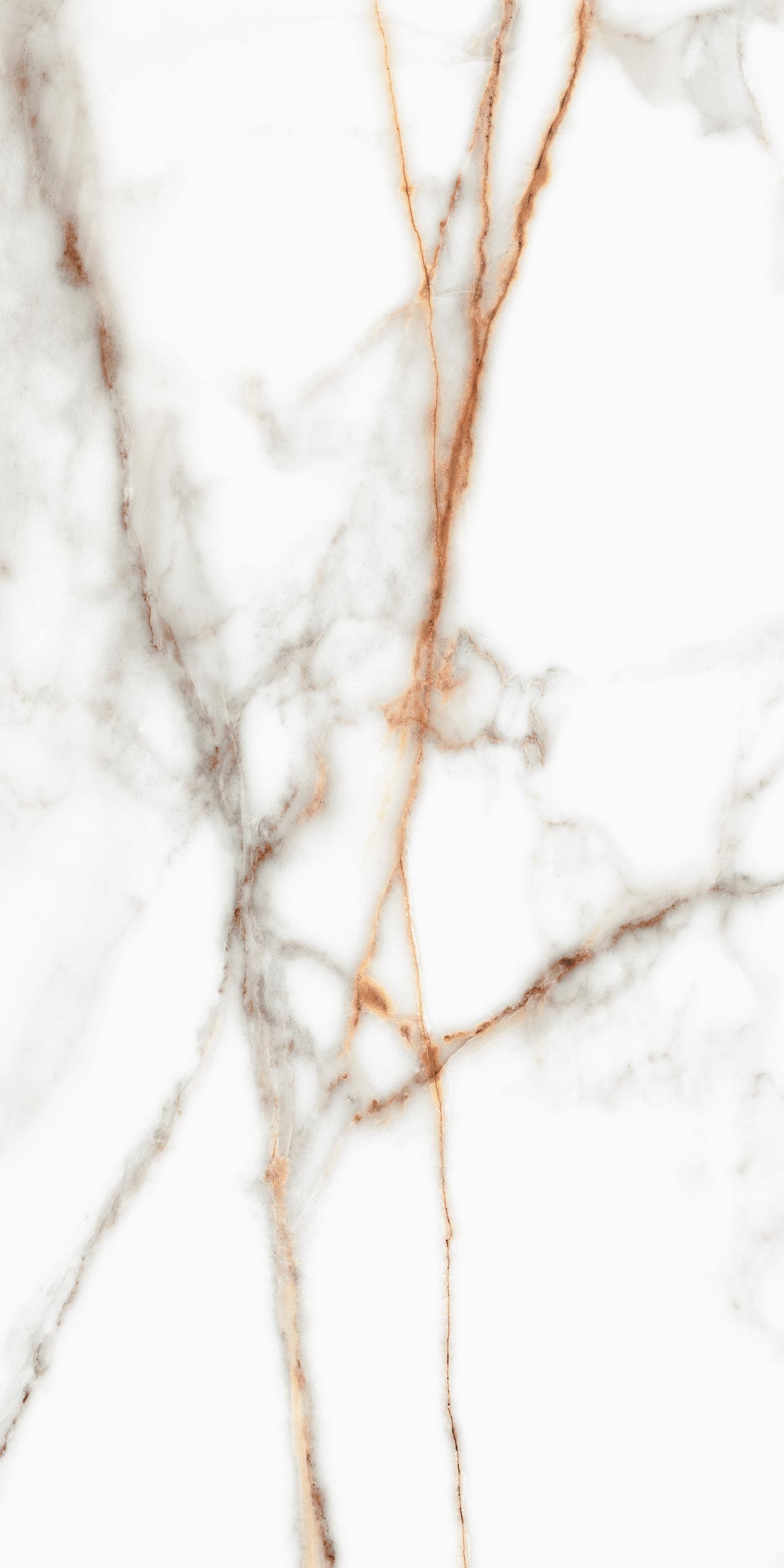 SM03 Supreme Ferrum Полированный 60x120x9 Ametis by Estima фото 5