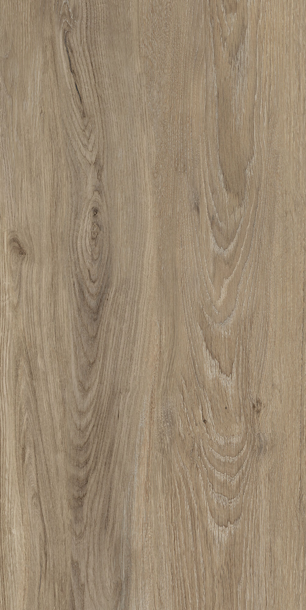 40683 Verbier Honey 4D/50X100X2/A/R 50x100 Peronda фото 2