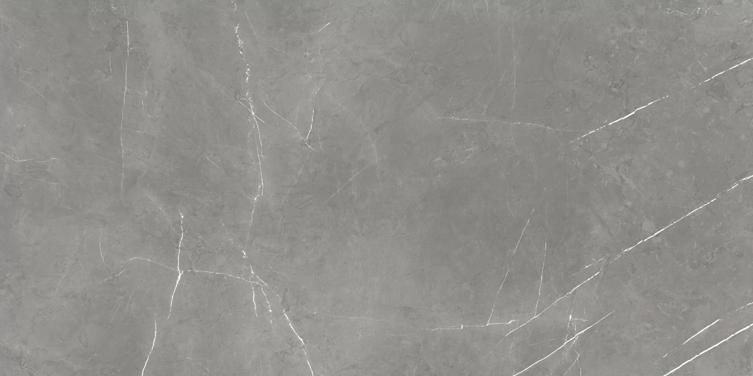 610015000657 Forte dei Marmi Elegant Grey Rett Cer 60x120 Atlas Concorde Russia