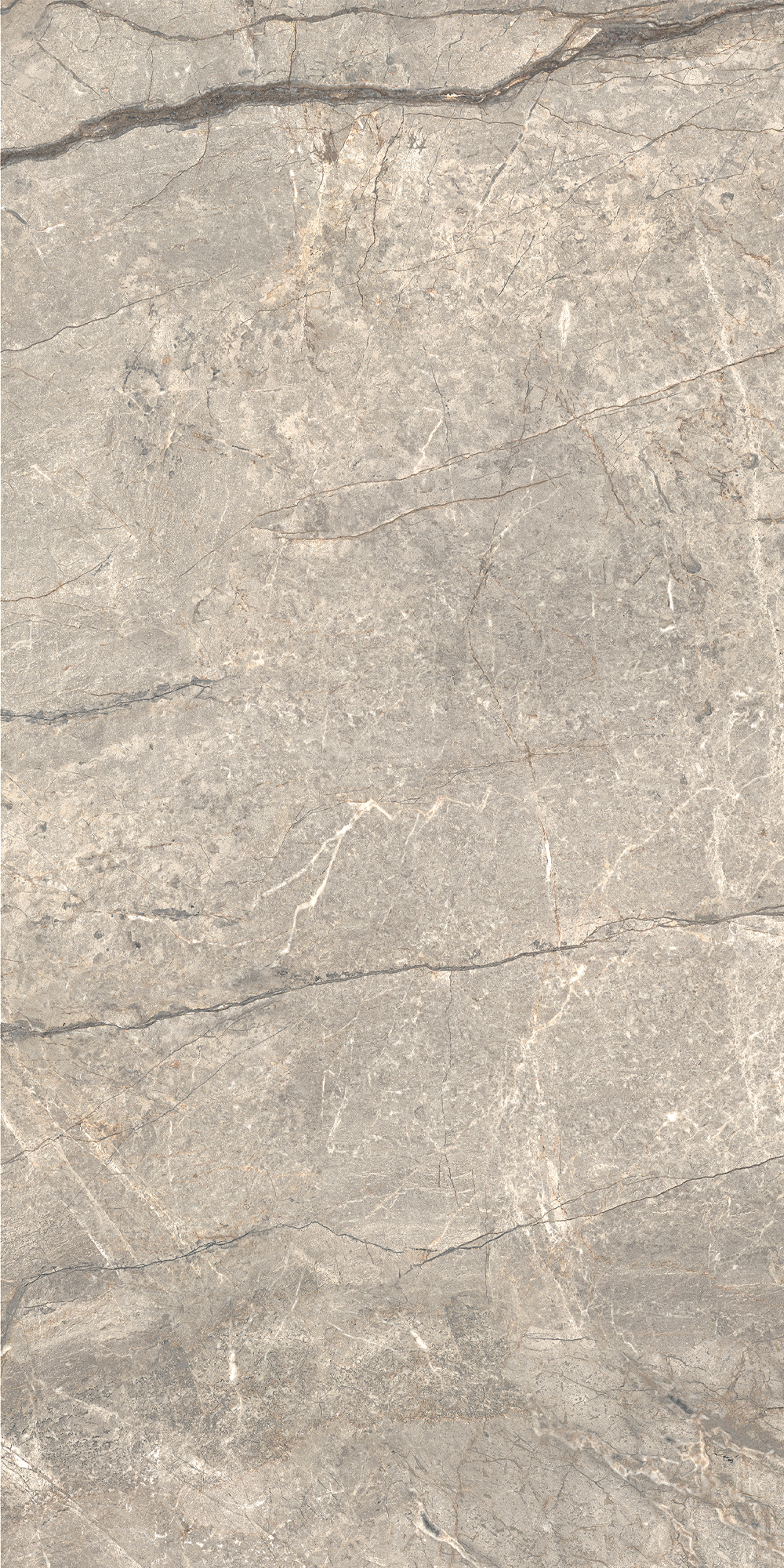 AGB2 Amazing Silver Matt 60x120 Caesar