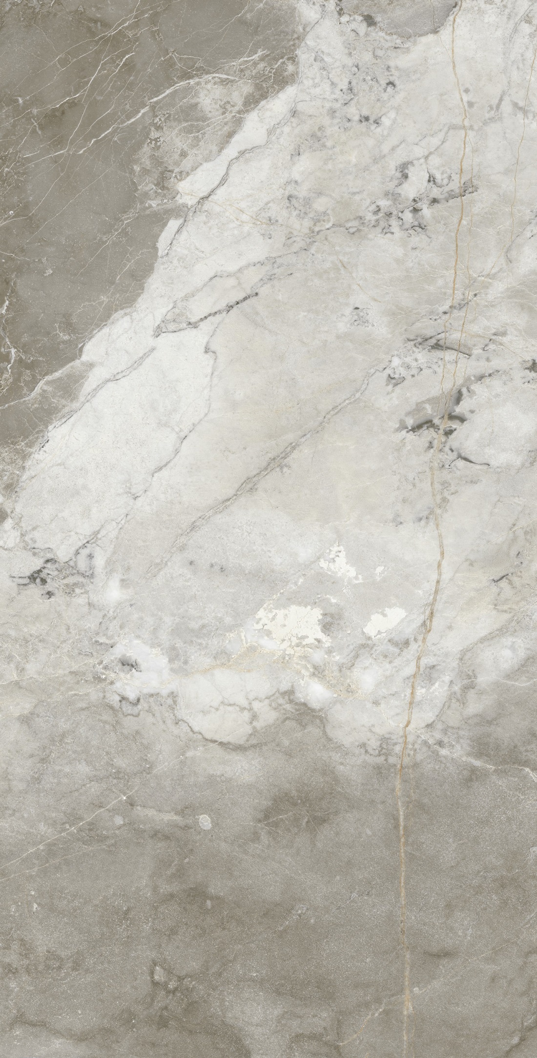 Manila Polished Golden Carving 60x120 Realistik фото 5