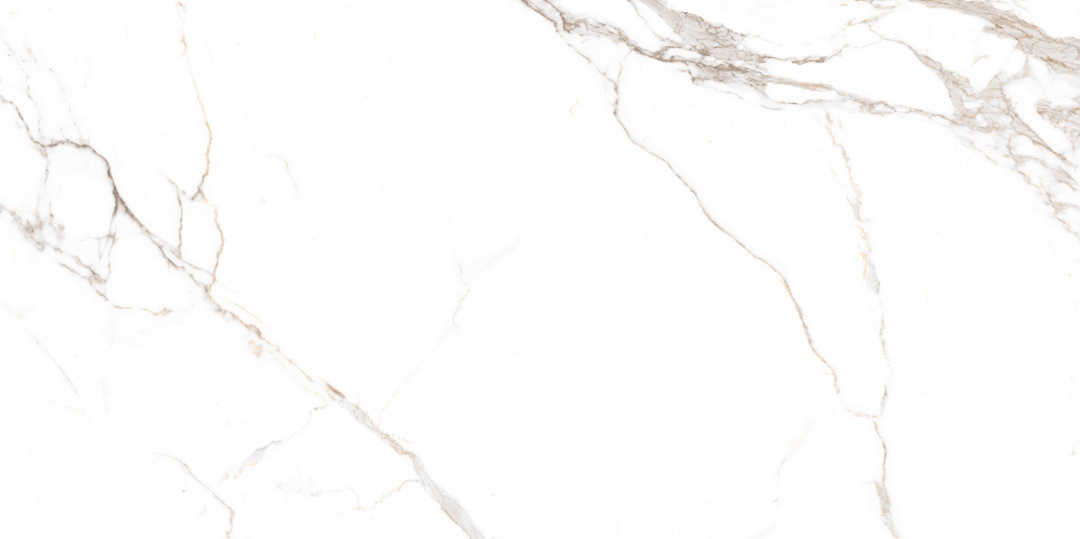 NTT9122M Barbara White Mat 60x120 NT Ceramic фото 5