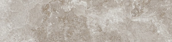 76022 ESEDRA 2.0 GRIGIO 20x80 Gardenia Orchidea (Versace)