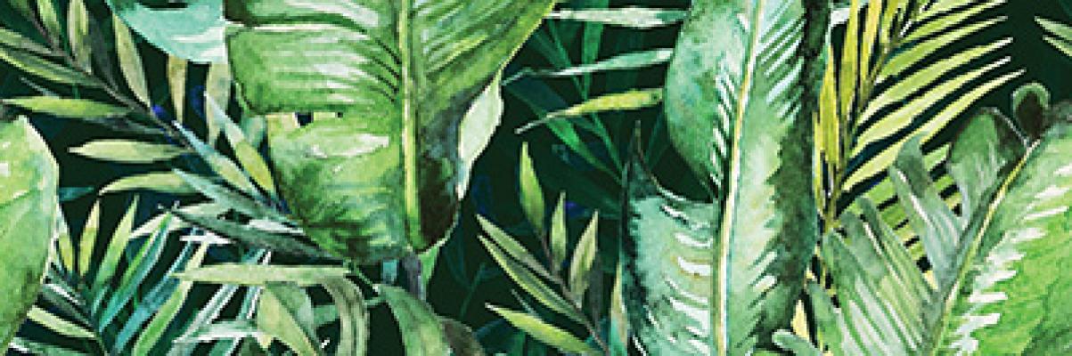 Braga Tropic B Rect 25x75 Ceramika Konskie
