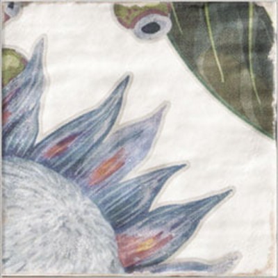 DECOR PROTEA 20x20 Mainzu
