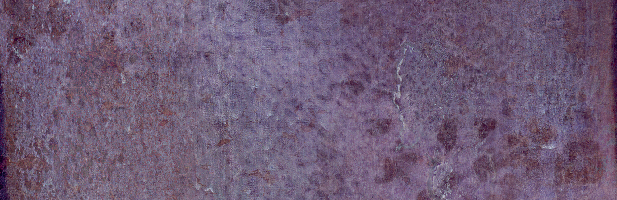 29015 Dyroy Aubergine 6.5x20 Peronda фото 6