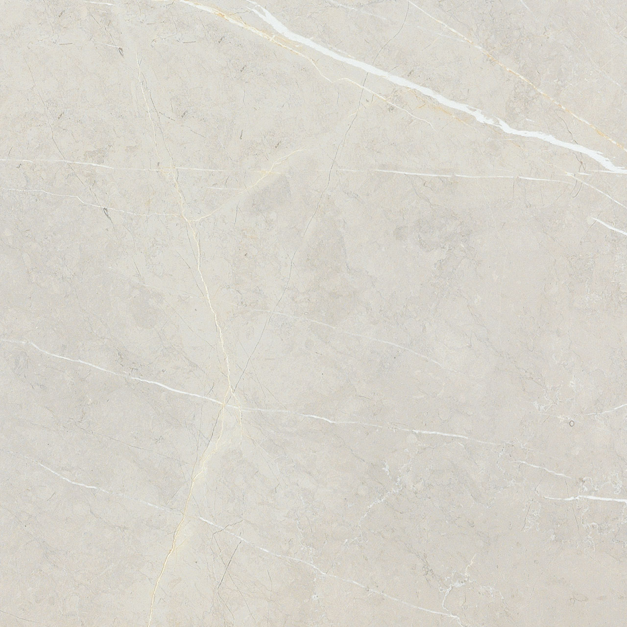BB6NTT9101P Bright And Shiny 60x60 NT Ceramic