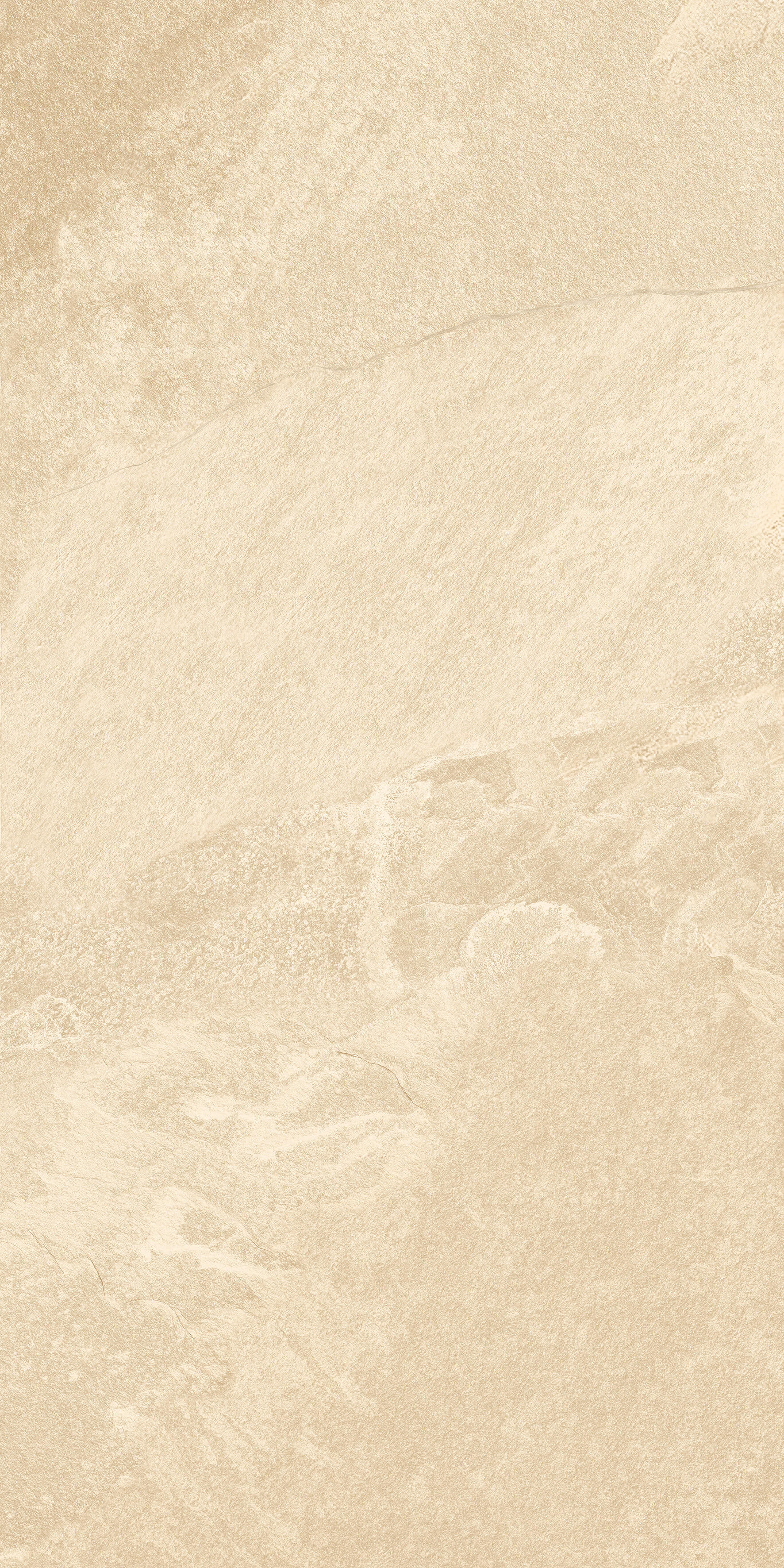 1209 Calcare Ivory Matt 120x60 Artcer фото 4