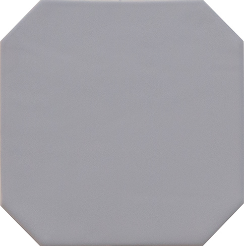 20555 Octagon Gris Mate 20x20 EQUIPE