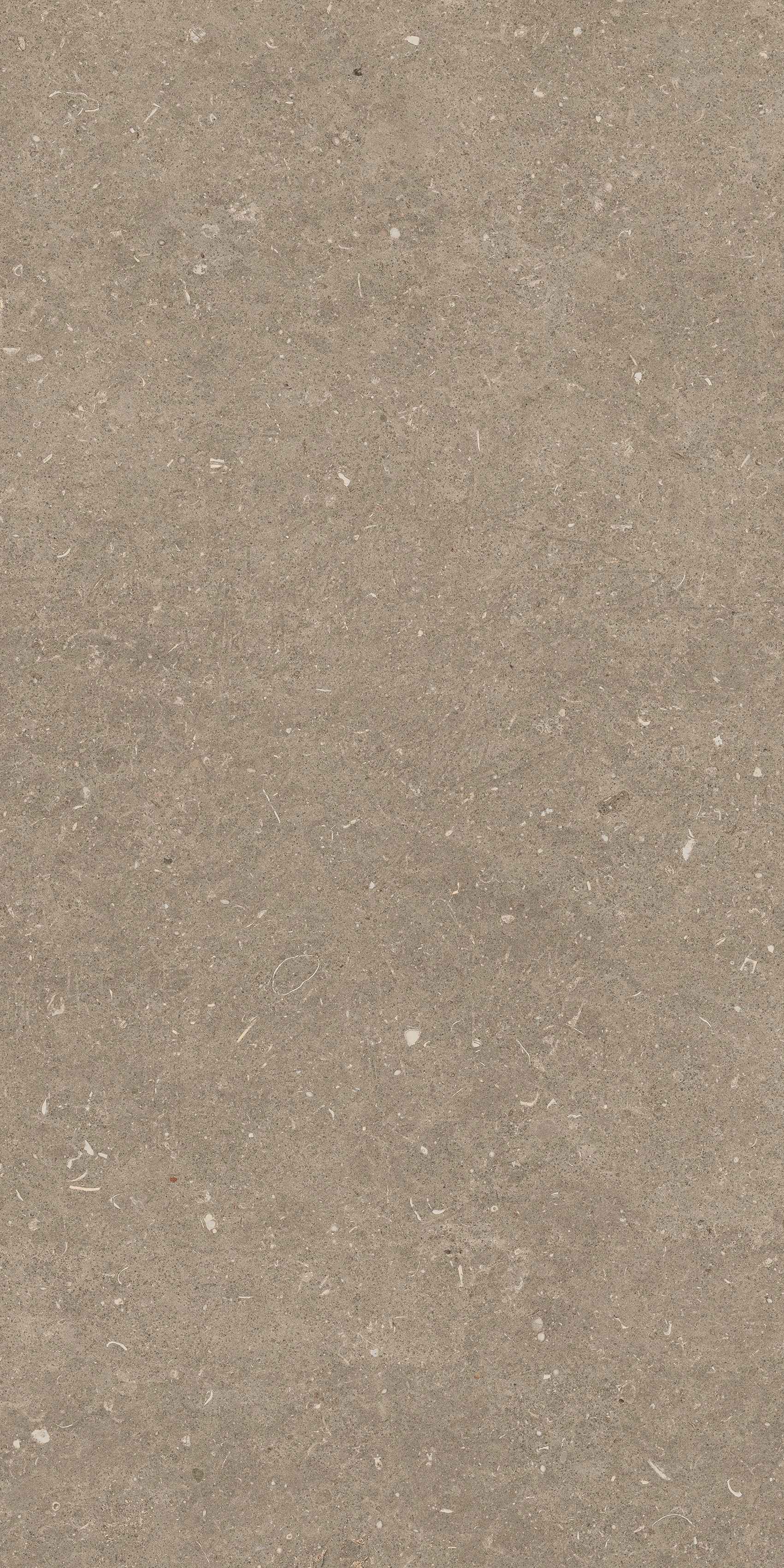 785494 Rinascenza Arena Pietra Grip 60x120 Casa Dolce Casa фото 8