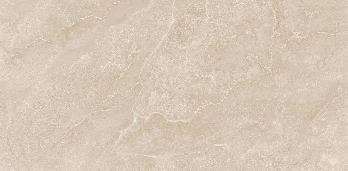 N20761 Etna Bone Carving Str 60x120 Neodom фото 4