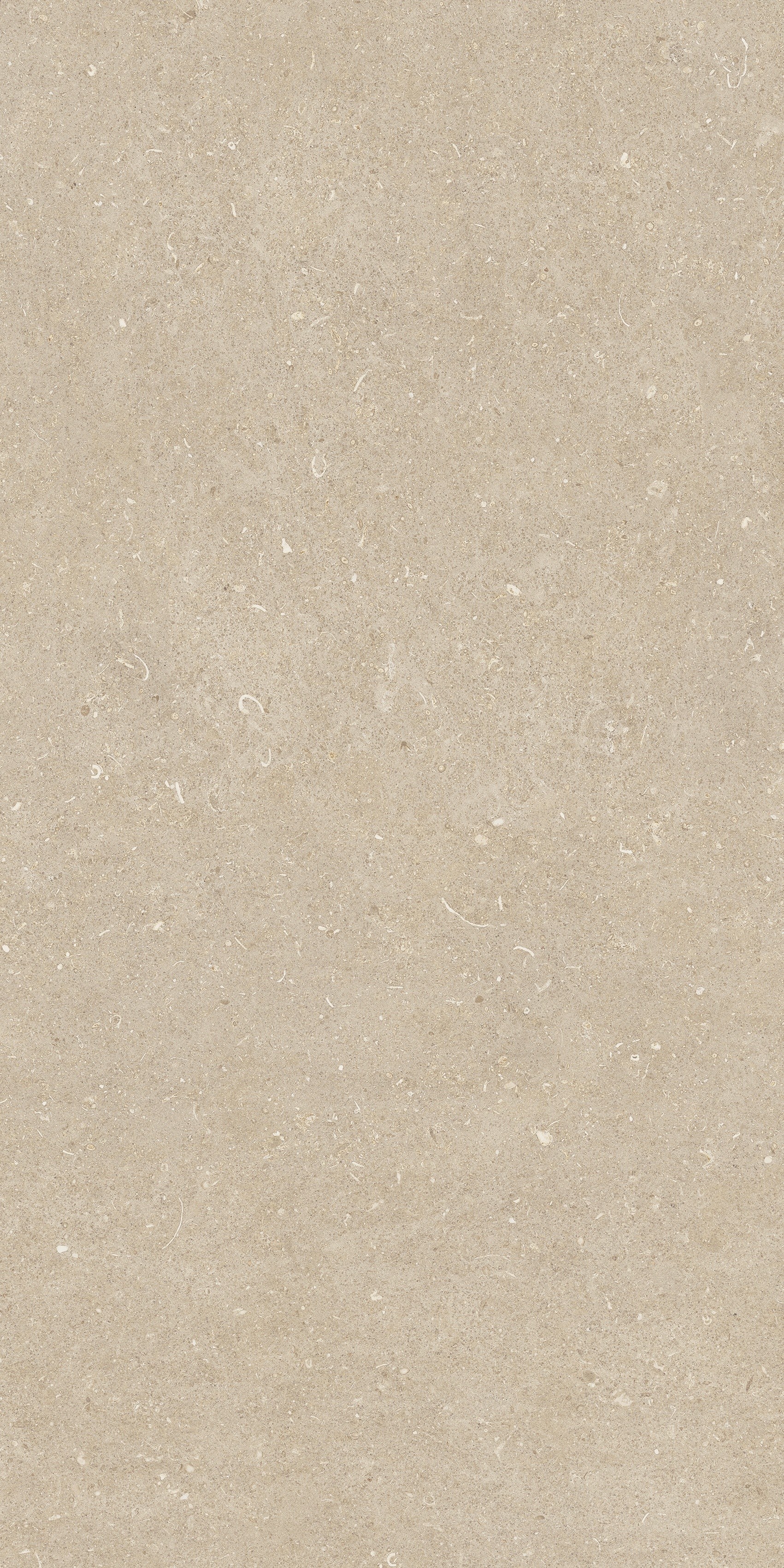 785493 Rinascenza Arena Conchiglia Grip 60x120 Casa Dolce Casa фото 4