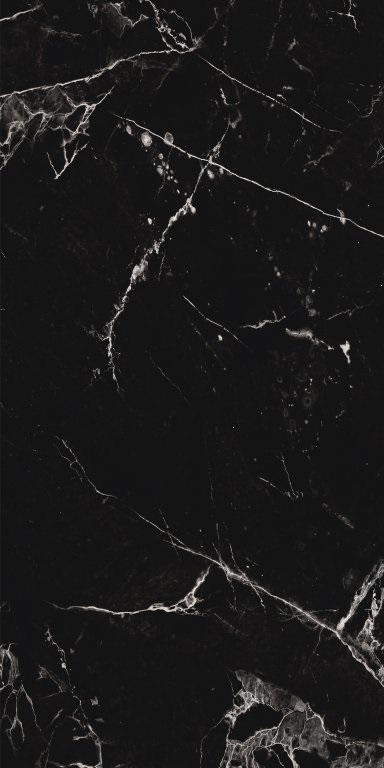 PT12S982 Noir Marble Pol 1200х600х9 Protiles