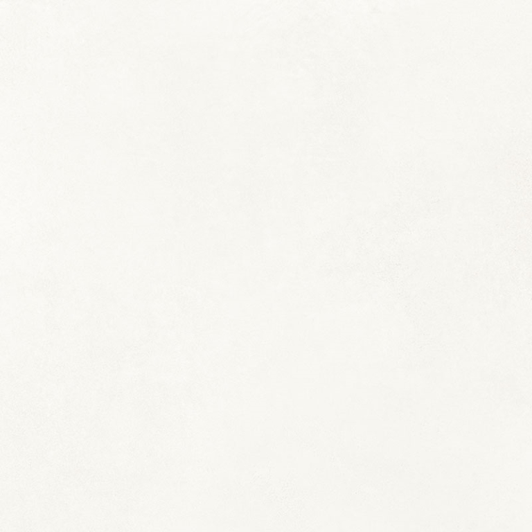 NP_P0074 Delishn white 60х60 Creto