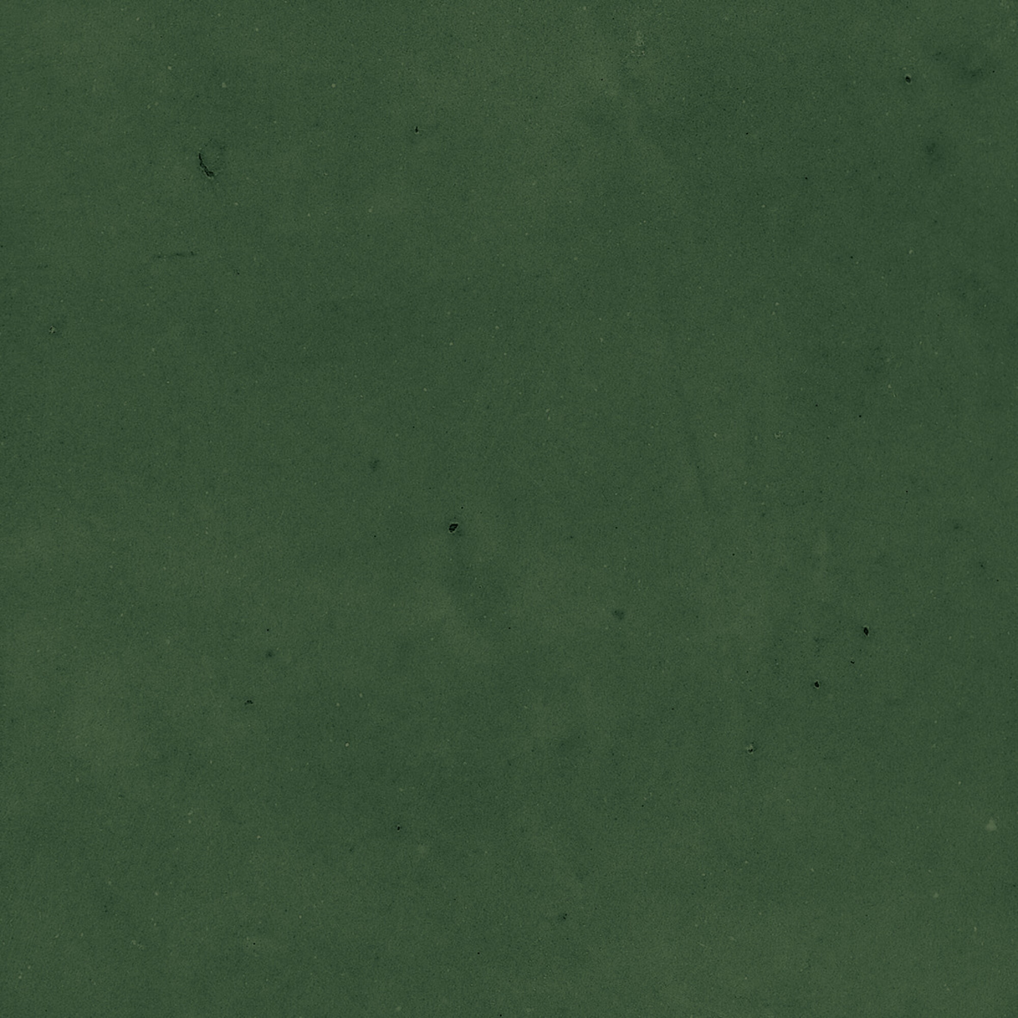 43289 Samira Green 10x10 Harmony фото 6