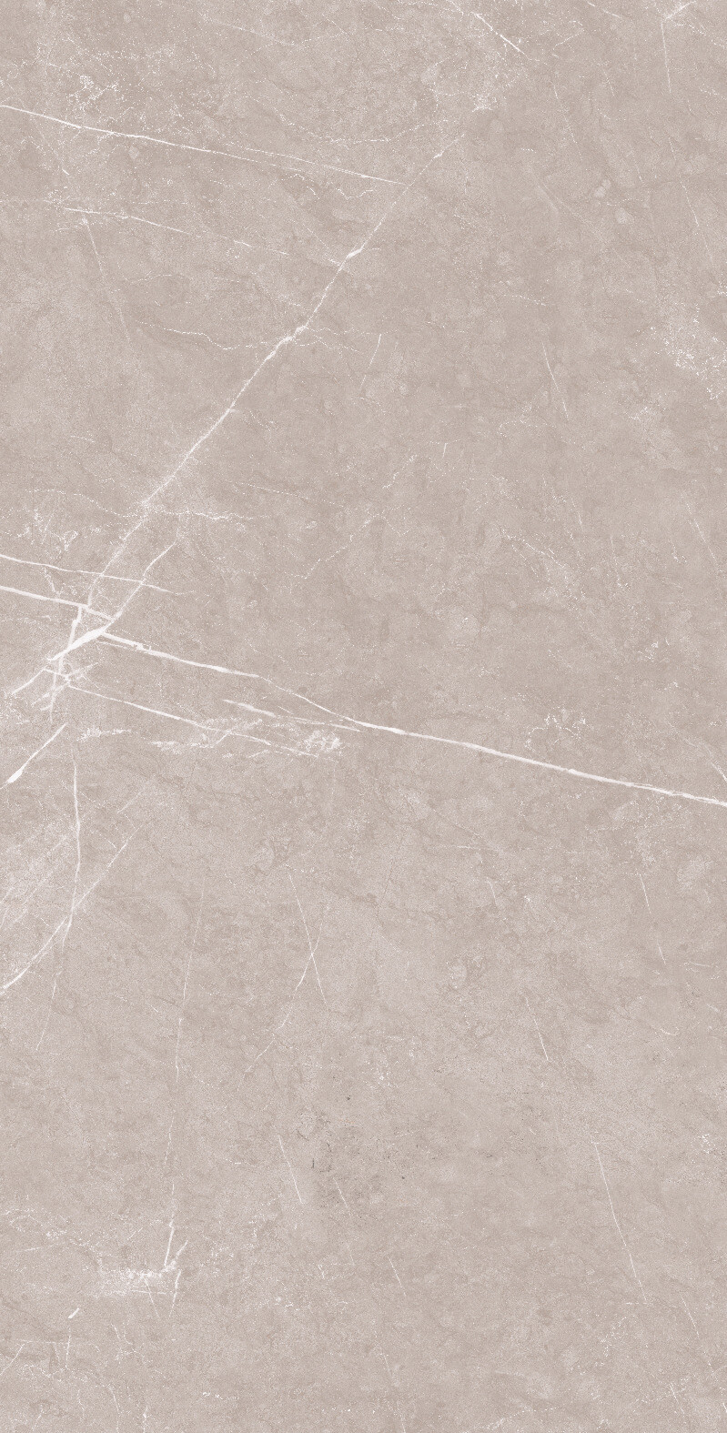 1069 Monte Grigio Carv 120x60 Artcer